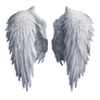 Angel wings stock PNG