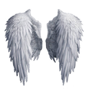 Angel wings stock PNG