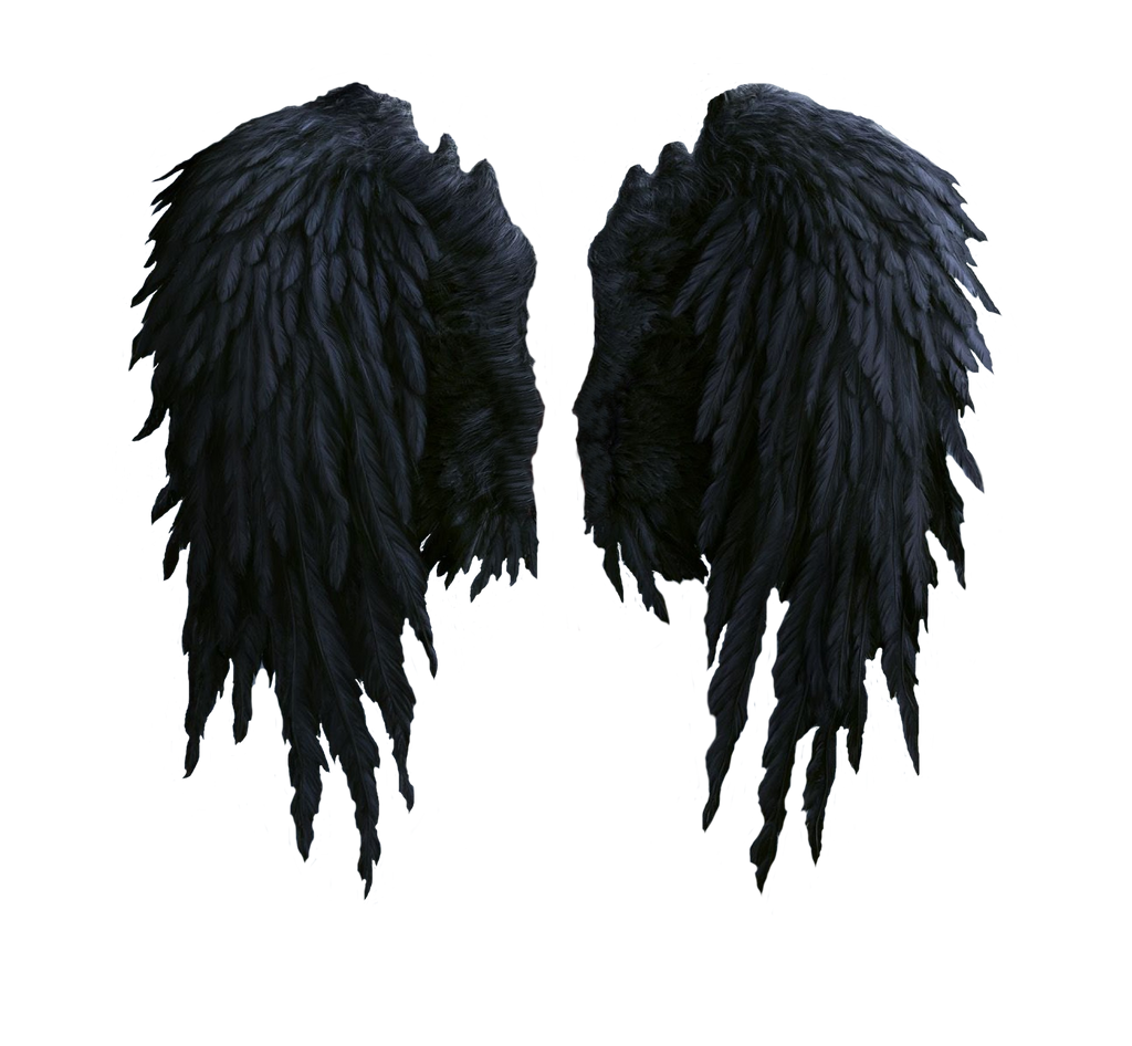 black angel wings stock PNG