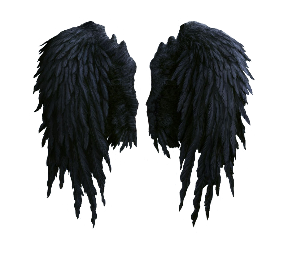 black angel wings stock PNG by Shadow-of-Nemo on DeviantArt