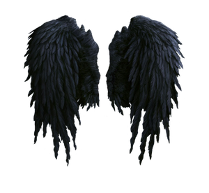 black angel wings stock PNG