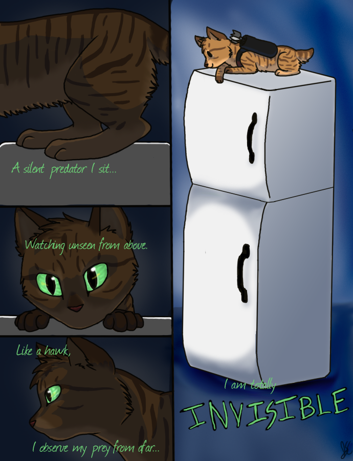 Catvengers: Invisible