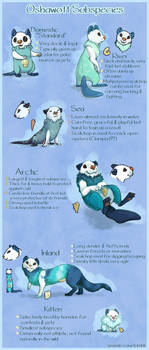 Oshawott Variations