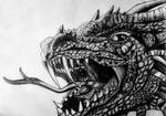 Dragon by Sheynar-Naelax