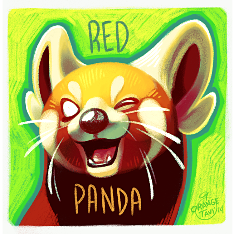 International Red Panda Day