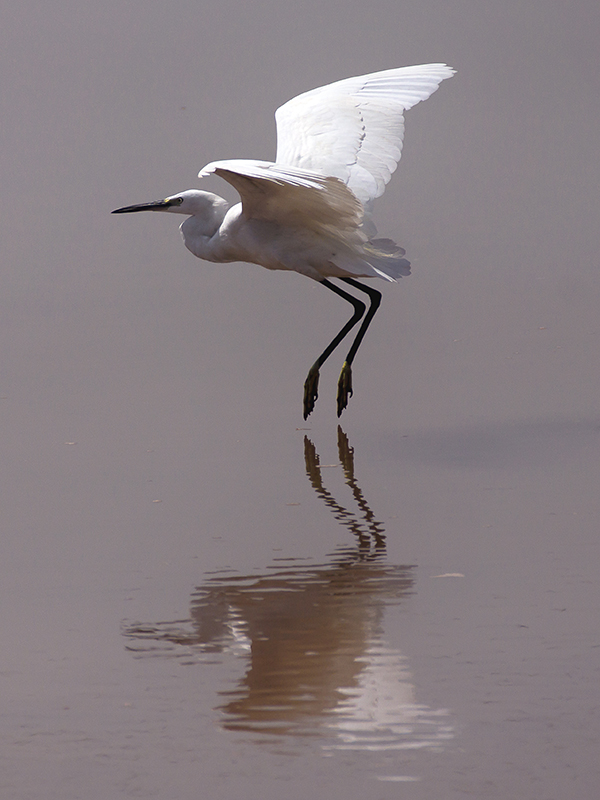 Almost Walking On Water