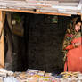 Girl In The Shop Window