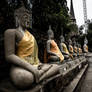 Rows Of Buddhas