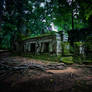 Ta Prohm Temple - II