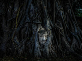 Wat Mahathat - 1
