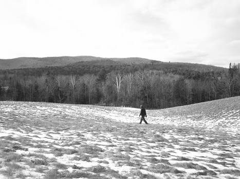 Walking in the Field