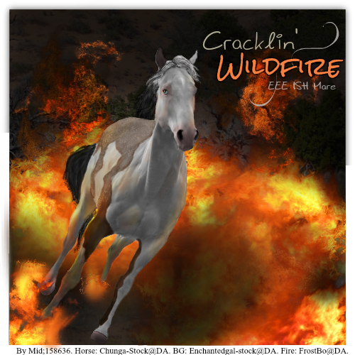 Cracklin' Wildfire