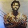 wolverine