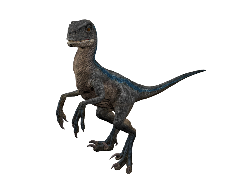 Beta Raptor X G Jr Velociraptor Beta jurassic world dominion Render by Groxyraptus-rex on ...