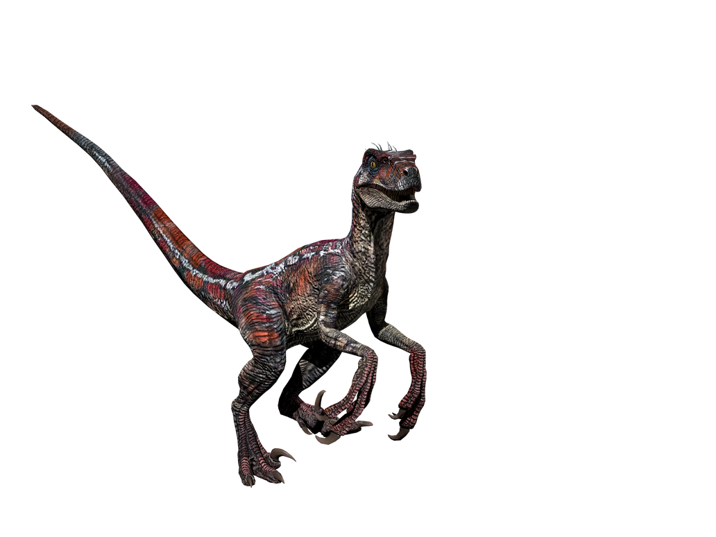 velociraptor v3/Tribe3 Male Render by Groxyraptus-rex on DeviantArt