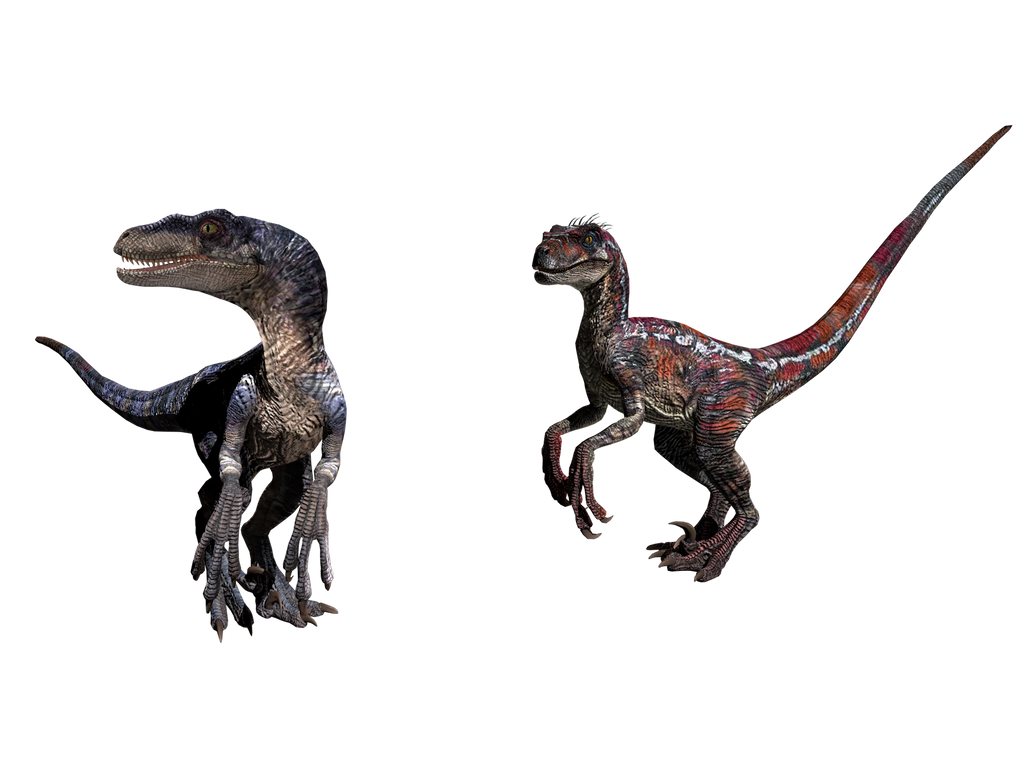 Velociraptor V3/tribe3 female and male by Groxyraptus-rex on DeviantArt
