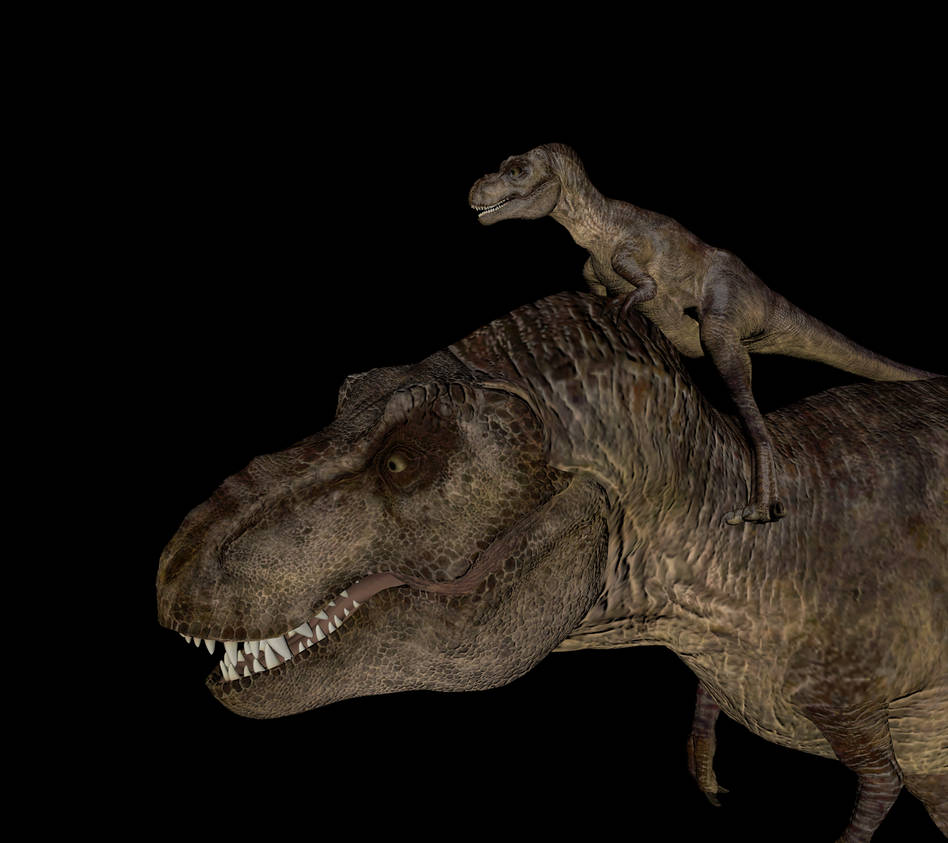 baby T-rex and Mother Rexy by Veliciraptus on DeviantArt