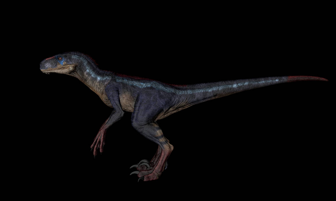 Atrociraptor male raptor jp3 skin by Groxyraptus-rex on DeviantArt
