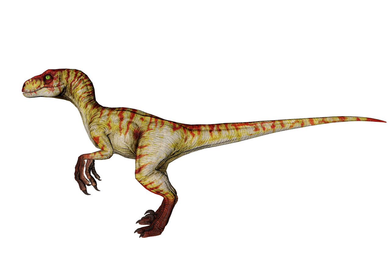 Velociraptor Female of Jurassic Park Novel by Veliciraptus on DeviantArt