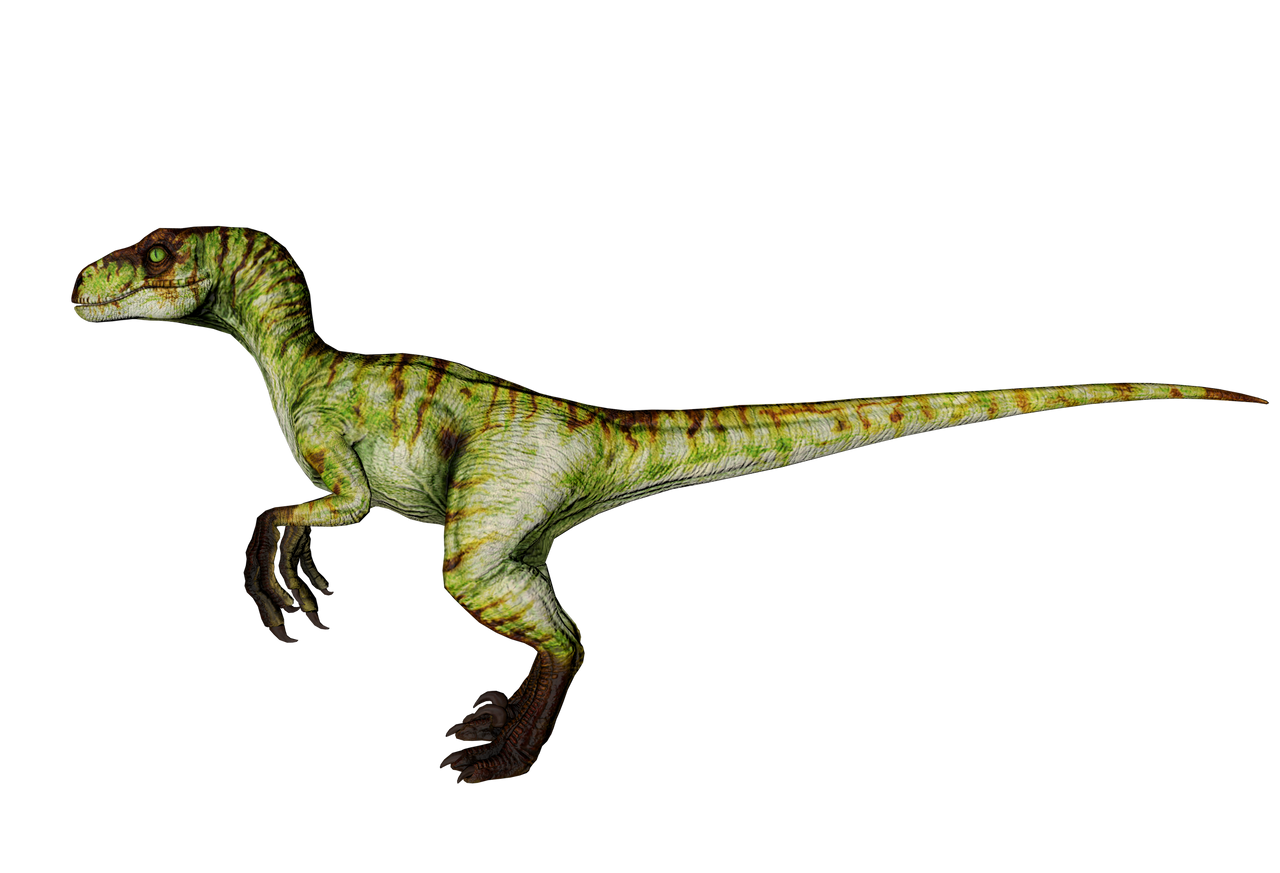 Velociraptor Male of Jurassic Park Novel by Veliciraptus on DeviantArt