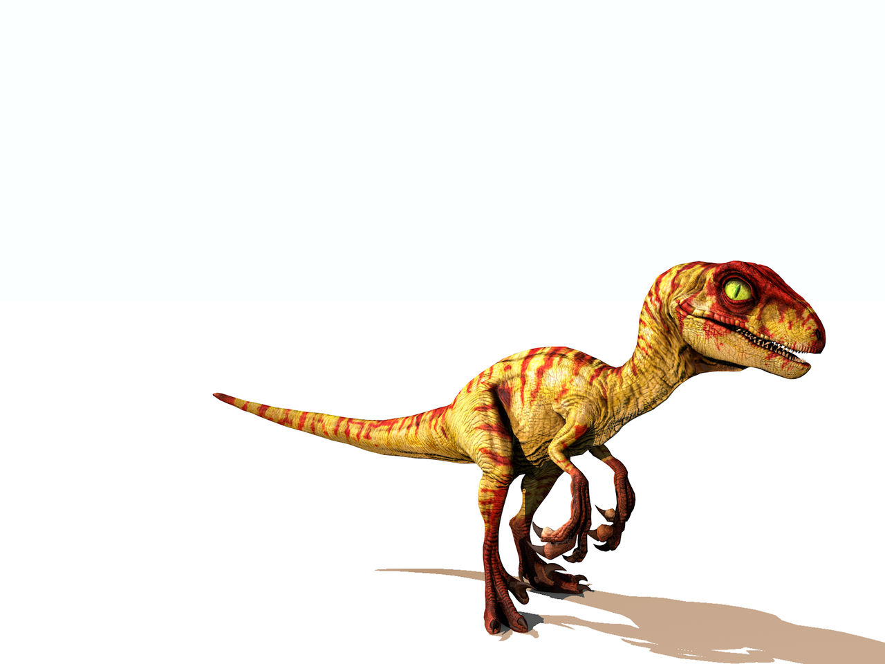 Jurassic Park Baby Raptor Raptor Encounter Universal Studios