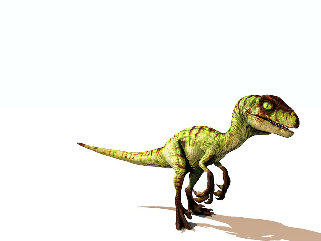Bebe Raptor Baby Velociraptor of Jurassic Park Novel by Groxyraptus-rex on DeviantArt