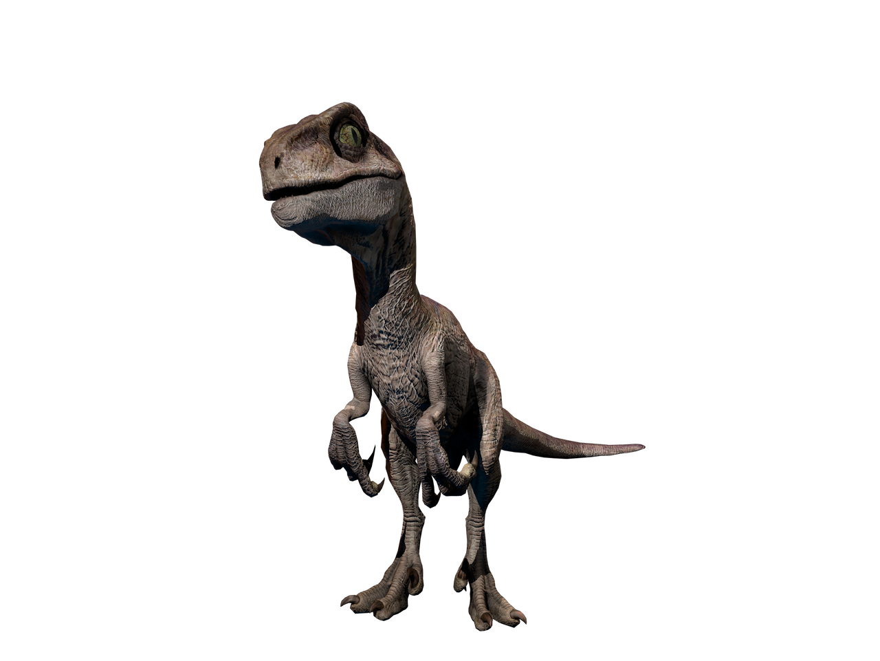 Bebe Raptor Baby Velociraptor from Jurassic park by Groxyraptus-rex on DeviantArt