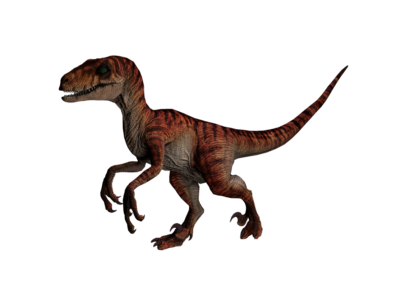 Velociraptor Red jurassic park 3 by Groxyraptus-rex on DeviantArt
