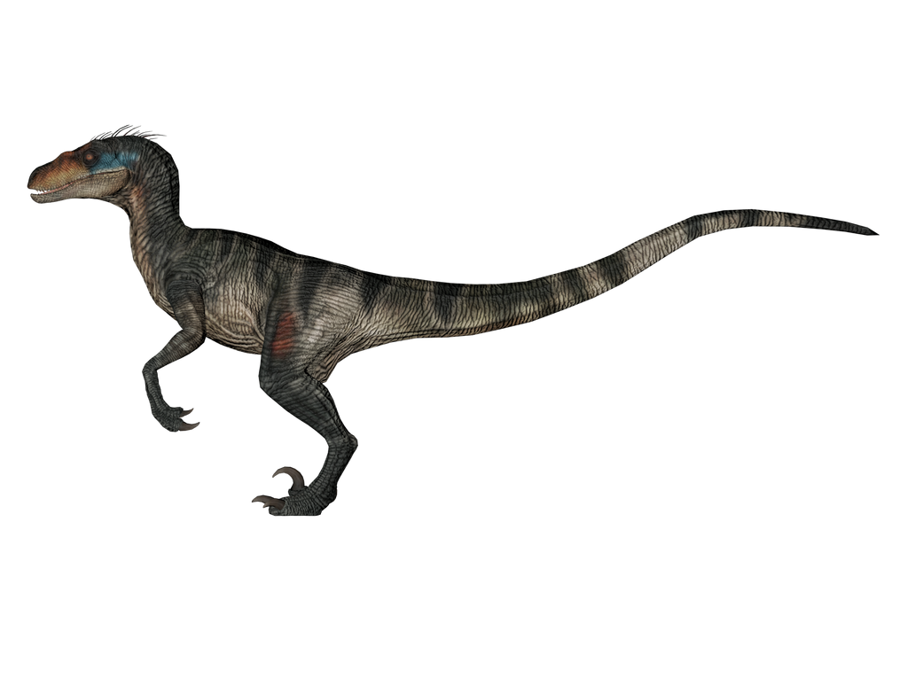 Velociraptor From Jurassic World Rebirth by Groxyraptus-rex on DeviantArt