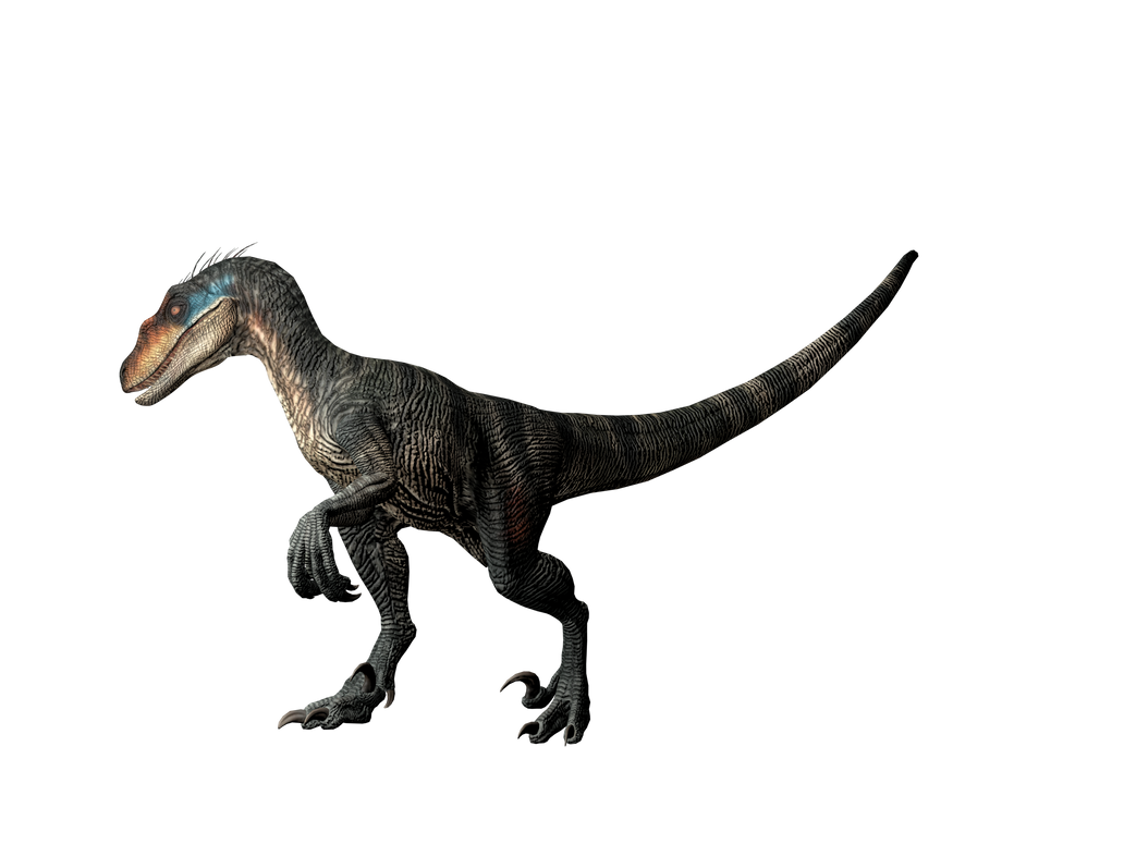 Rebirth Raptor No Background Velociraptor From Jurassic World Rebirth by Groxyraptus-rex on DeviantArt
