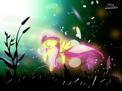 Fluttershy's Dream