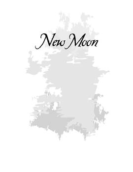 New Moon Shirt Design-front