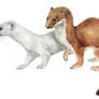 Stoats