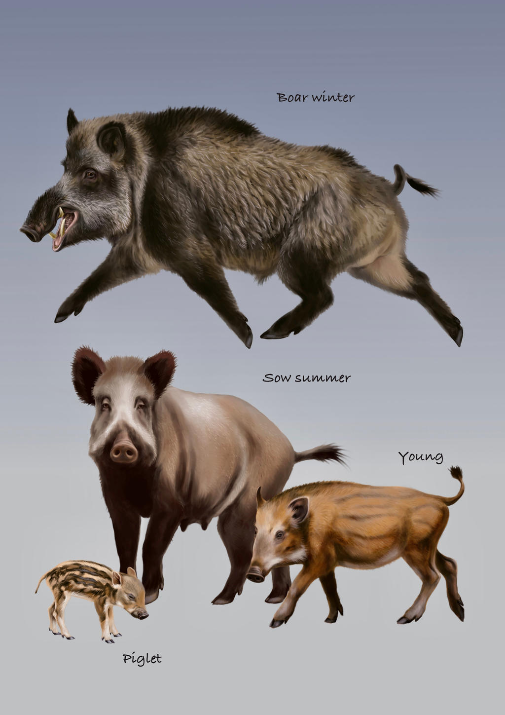 Boar Monkey Deviantart Wild boar family by NefelisSt on DeviantArt