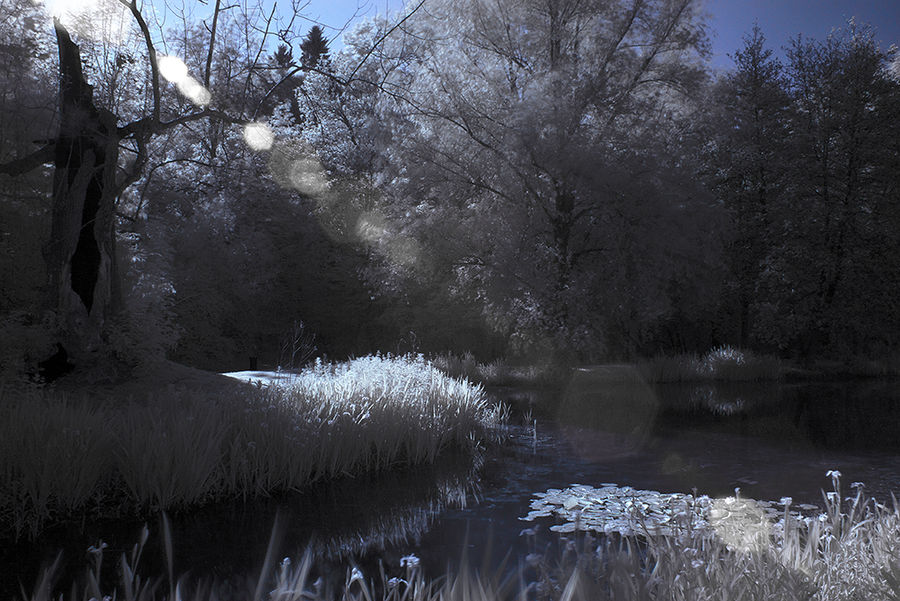 Lake in infrared