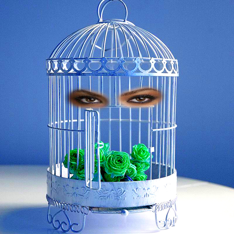 eyes cage