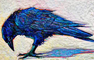 Blue Crow