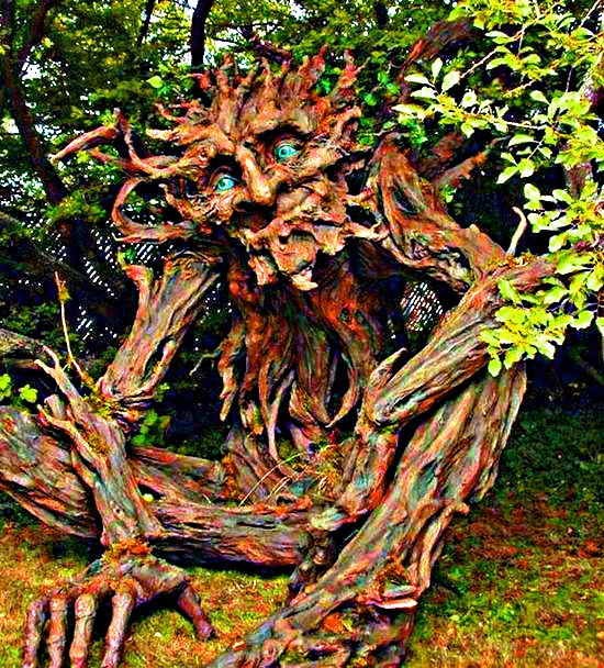 10 Most AMAZING Trees In The World! by YOKOKY on DeviantArt