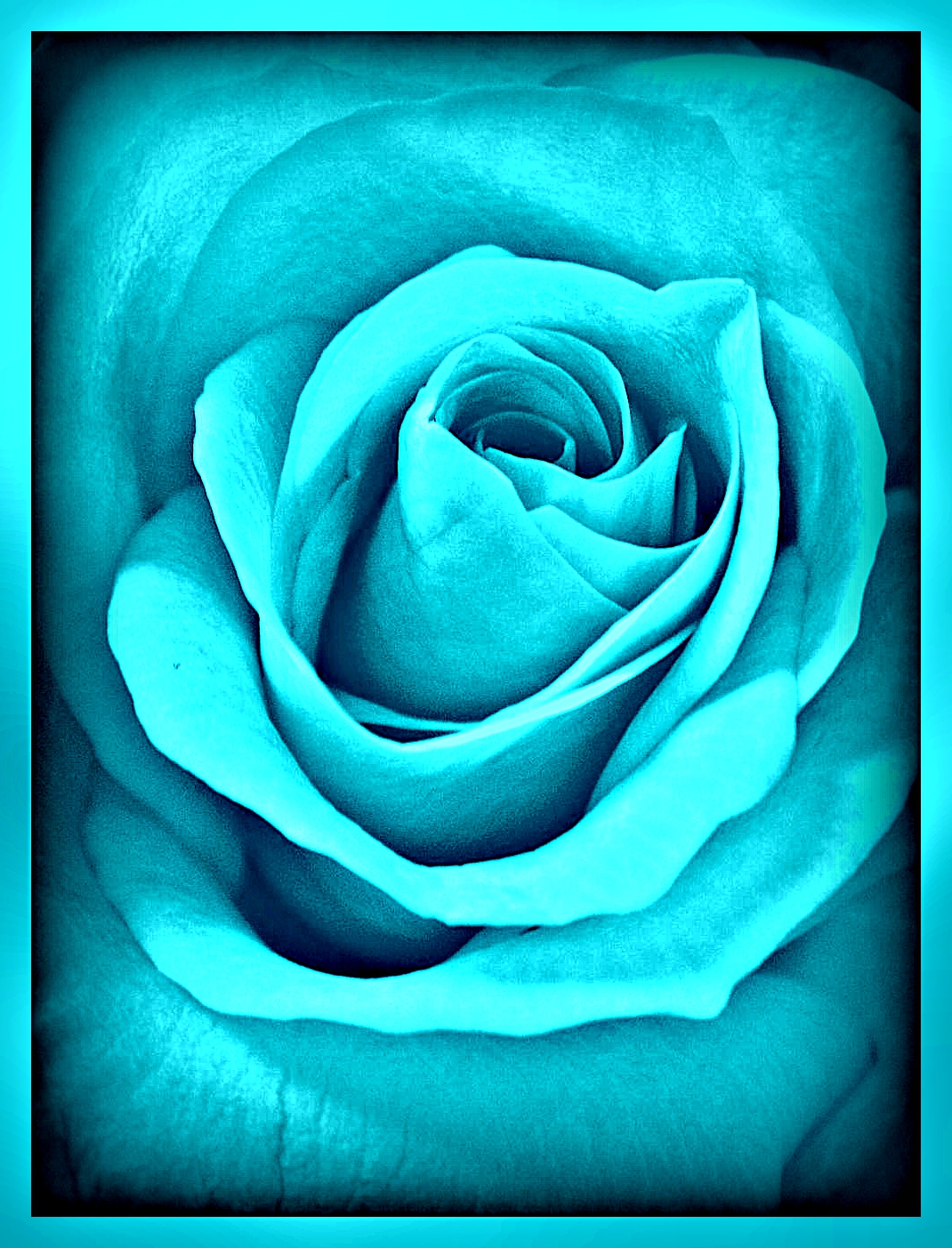 rare colour wallpaper by YOKOKY on DeviantArt rare colour wallpaper by YOKOKY on DeviantArt