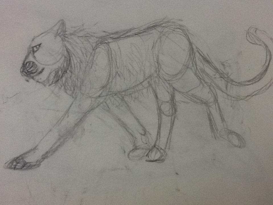 Big cat sketch by Alder-Branches on DeviantArt