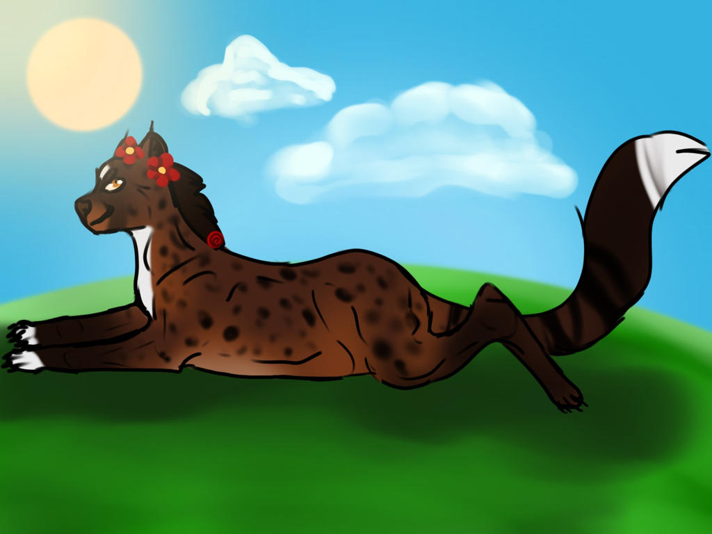 Pretty Flowers and Pretty Kitty by Alder-Branches on DeviantArt
