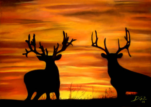 The Sunset and the Deers