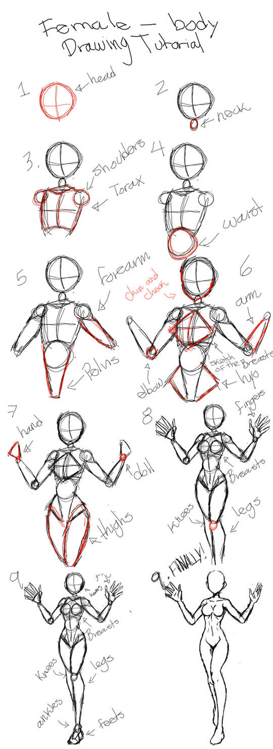 Step-By-Step Body Drawing –