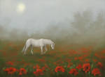 Poppy field by krizdole