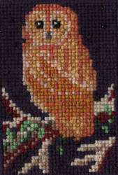 Owl cross-stitch