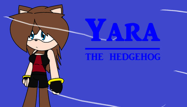 Yara the hedgehog wallpaper
