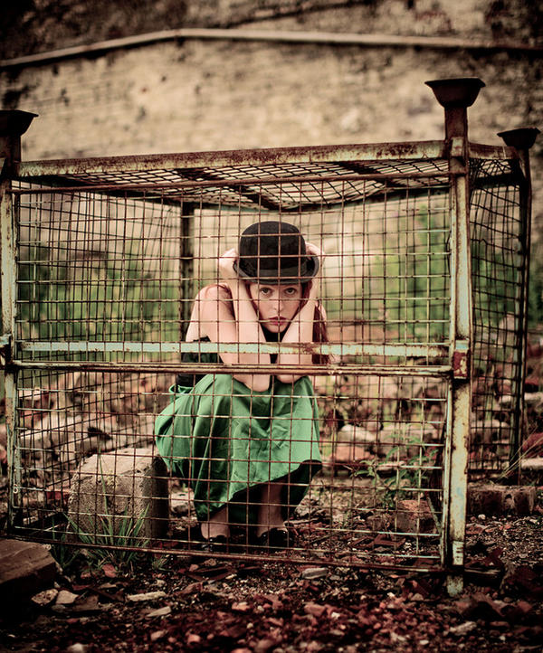 Pinterest Caged caged by andrewfphoto on DeviantArt