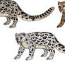Snow leopard