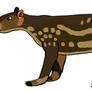 Lowland paca