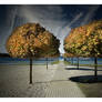 Herbst am See